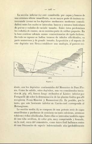 Página 0206